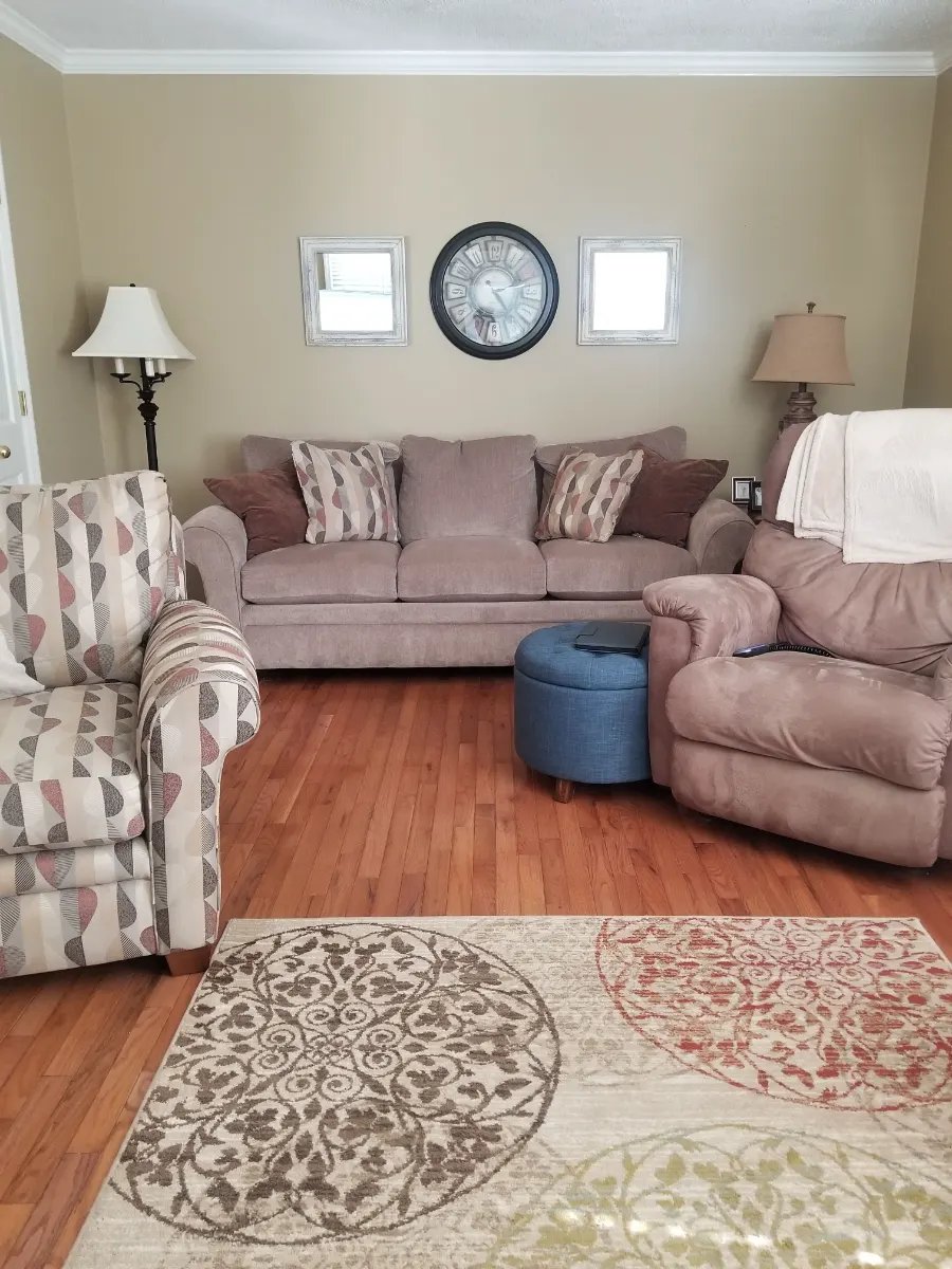 Living room tidied and vacuumed, cleaned by Dust Free By DD in Cleveland, TN