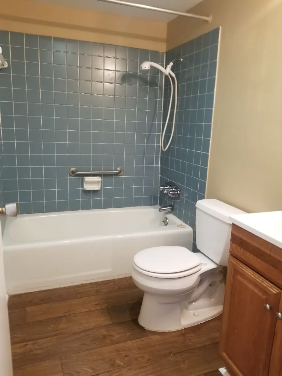 Tub, tile and toilet cleaned and sanitized, cleaned by Dust Free By DD in Cleveland, TN